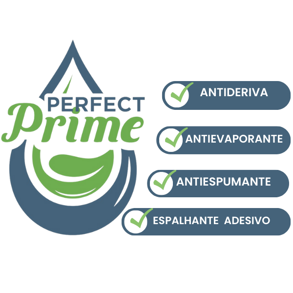 Perfect Prime - Imagem 4