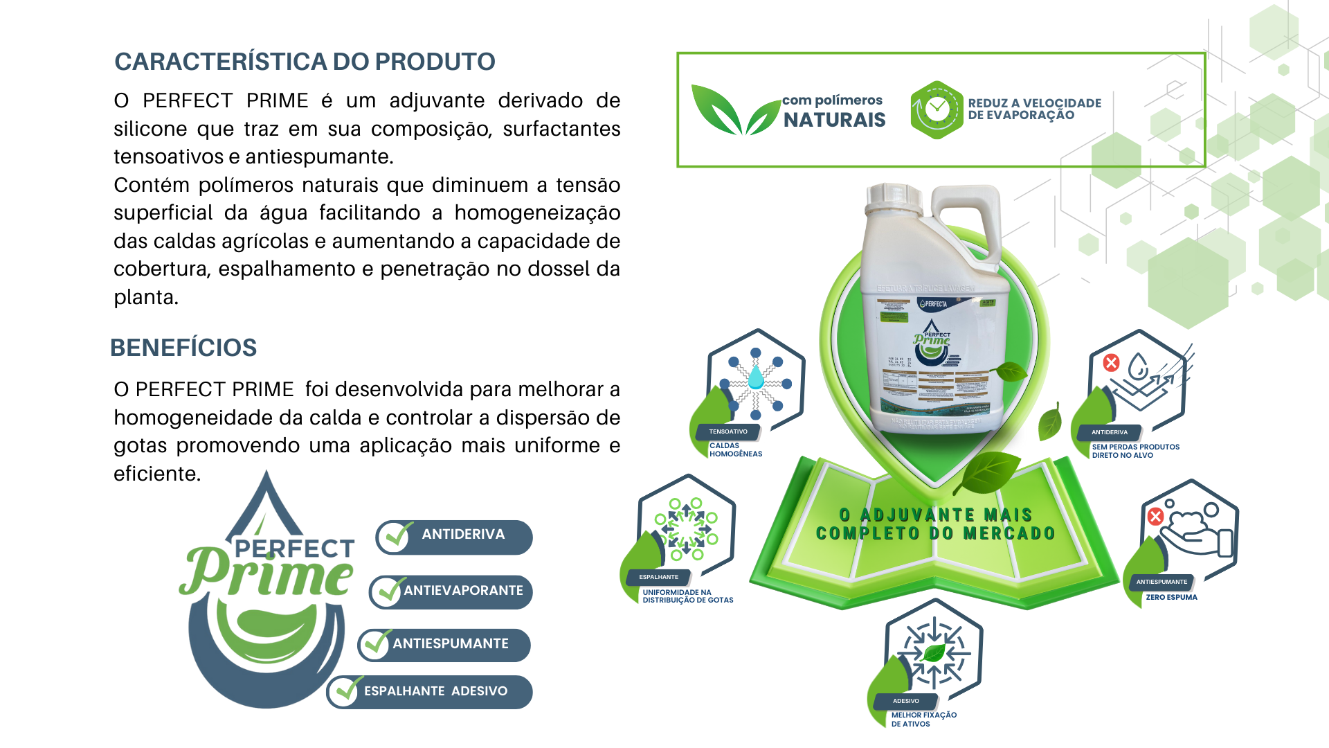 Perfect Prime - Imagem 7