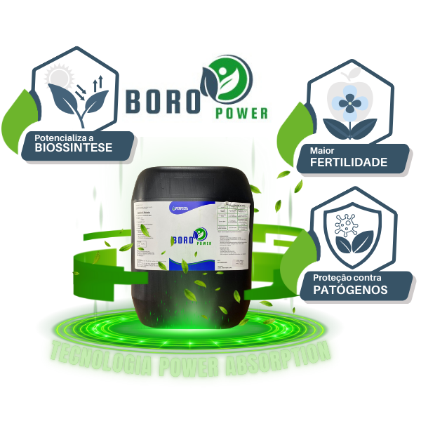 Boro Power - Imagem 12