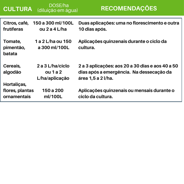 Boro Power - Imagem 11