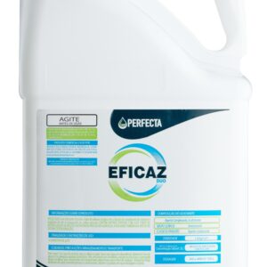 Eficaz Duo